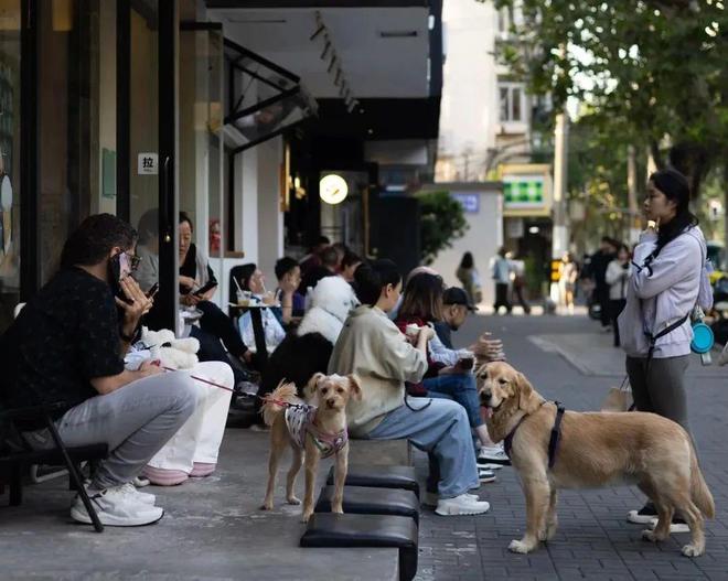 人抛弃了双11爱上了“老年严选”AG旗舰厅网站首页这届脆皮年轻(图16)